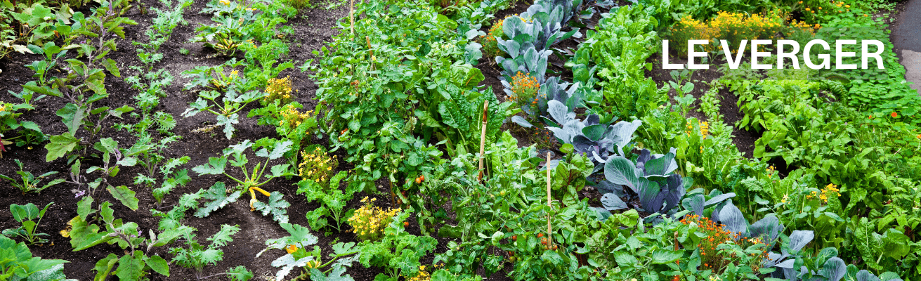 ACHETER DES LÉGUMES